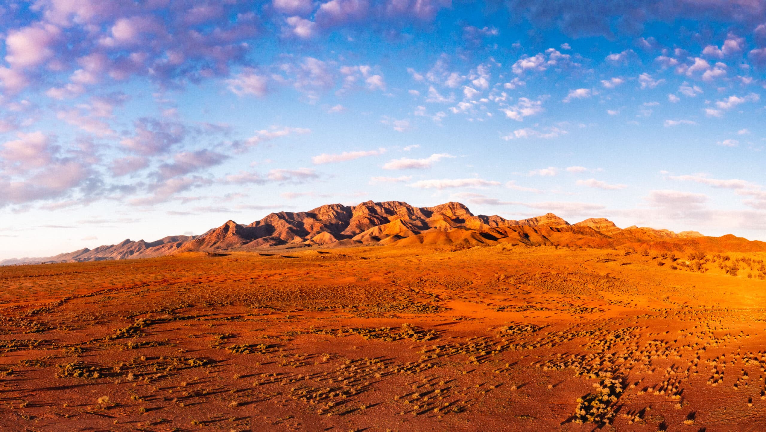 Flinders Ranges, SA
