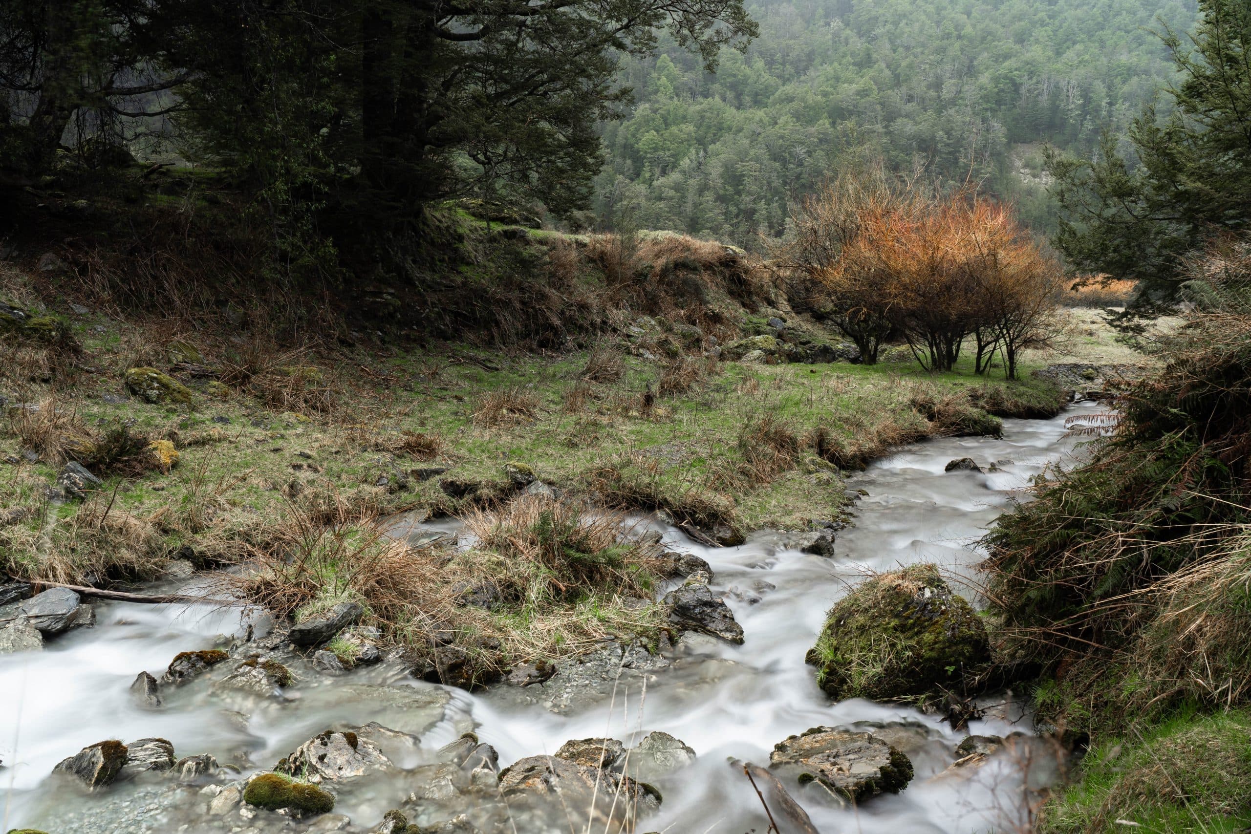 A River Somewhere, New Zealand